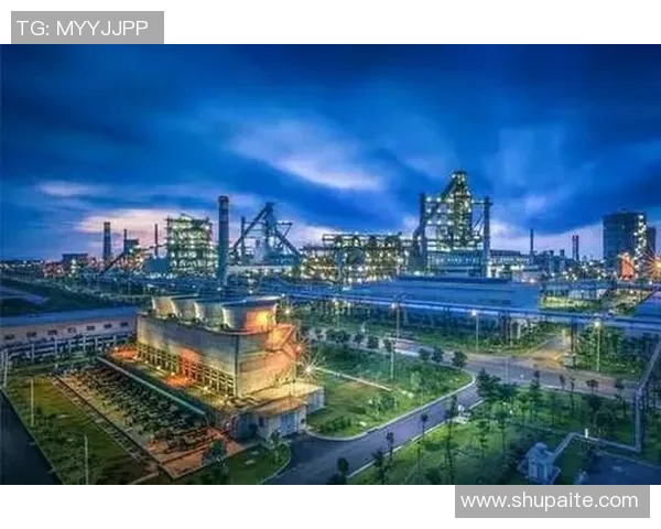 广州乒乓球队转型之路的挑战与机遇全景分析